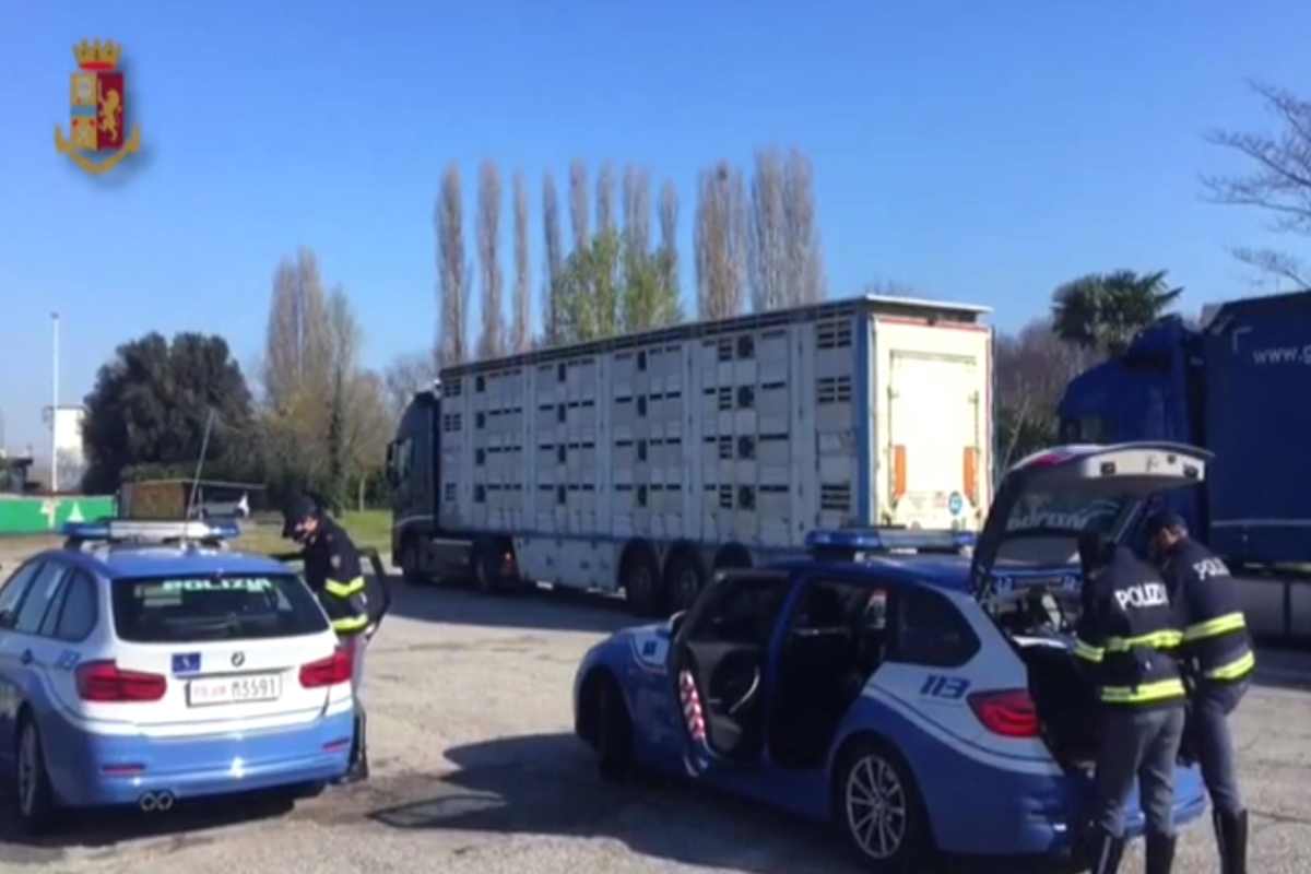 Cosa succede ad una multa presa all'estero