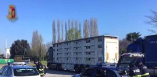 Cosa succede ad una multa presa all'estero