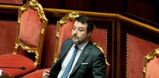 Stop benzina e diesel, la mossa di Salvini - Autoemotori.it 4-