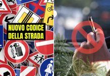 nuovo codice strada